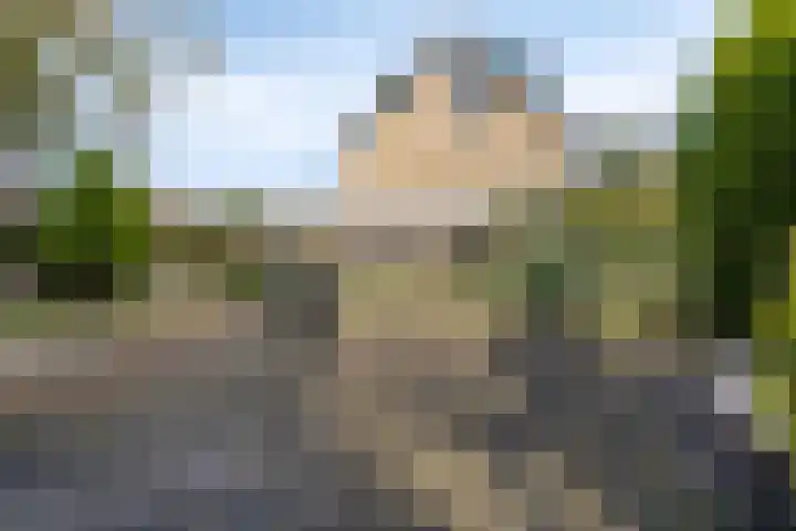 Trompstraat 40 Dongen thumbnail 35