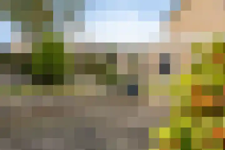 Trompstraat 40 Dongen thumbnail 36