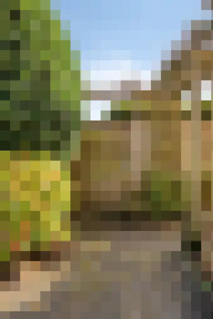 Trompstraat 40 Dongen thumbnail 40