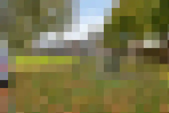 Trompstraat 40 Dongen thumbnail 43