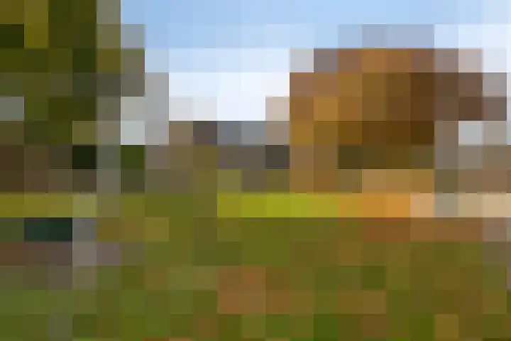 Trompstraat 40 Dongen thumbnail 44
