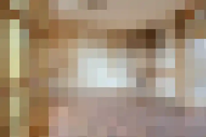Trompstraat 40 Dongen thumbnail 8
