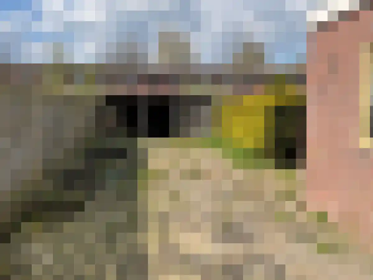 Trompstraat 42 Hoogeveen thumbnail 5