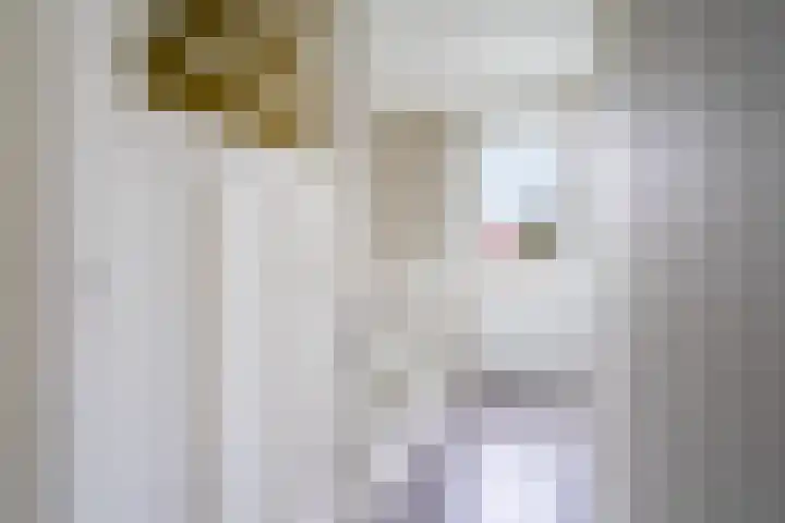 Trompstraat 42 Tilburg thumbnail 18