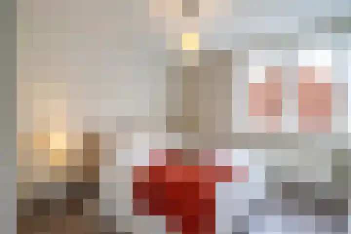 Trompstraat 42 Tilburg thumbnail 20