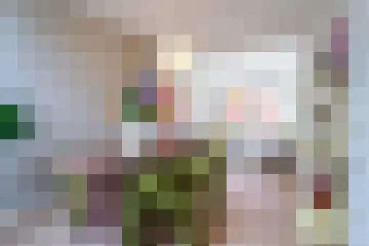 Trompstraat 42 Tilburg thumbnail 8