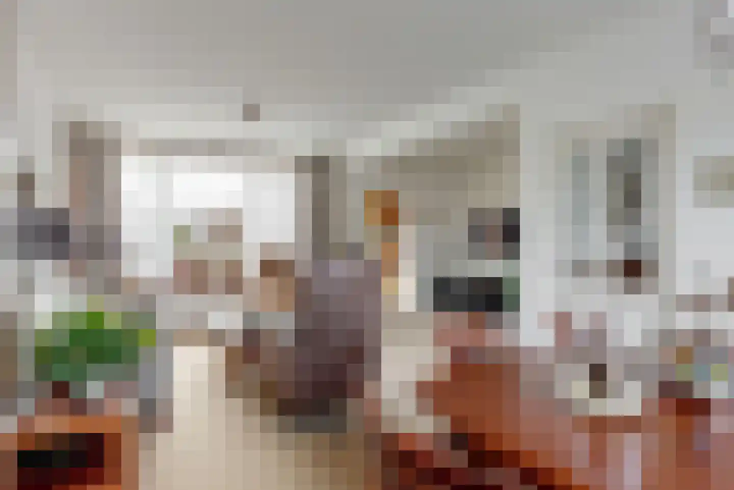 Trompstraat 42 Veghel thumbnail 12