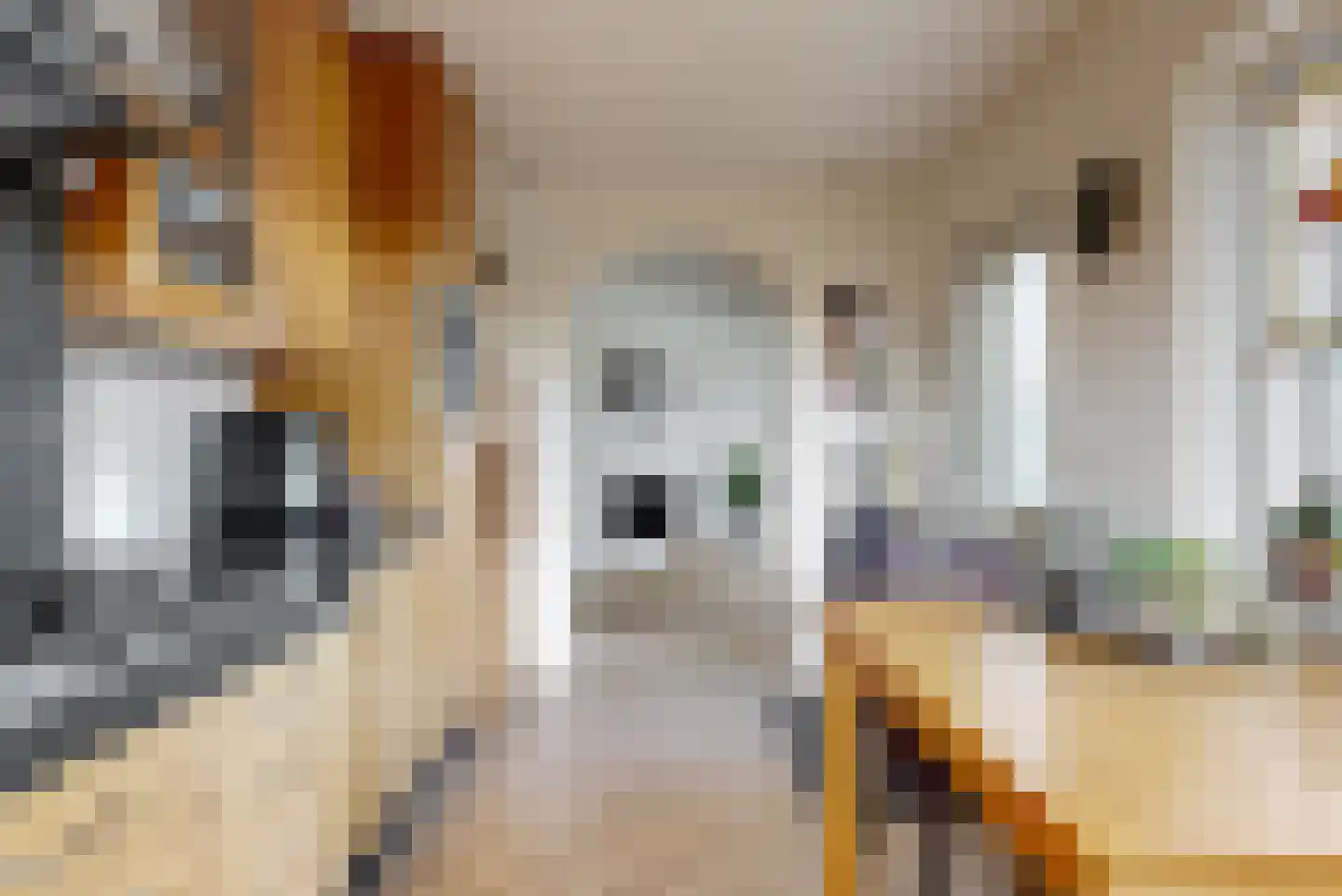 Trompstraat 42 Veghel thumbnail 17