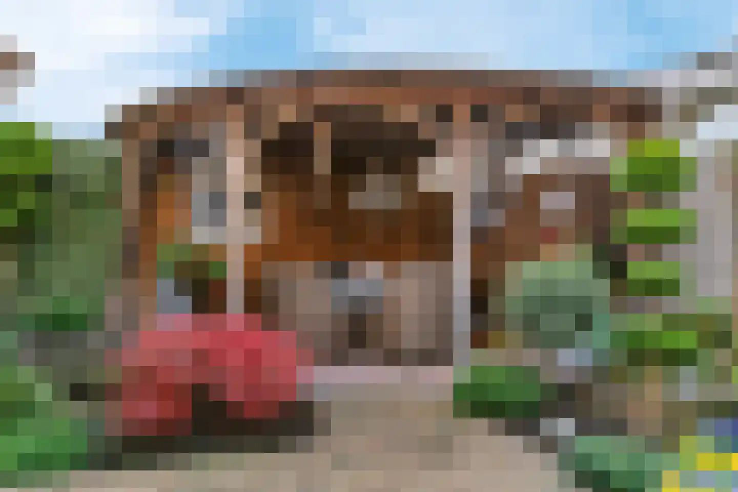 Trompstraat 42 Veghel thumbnail 32