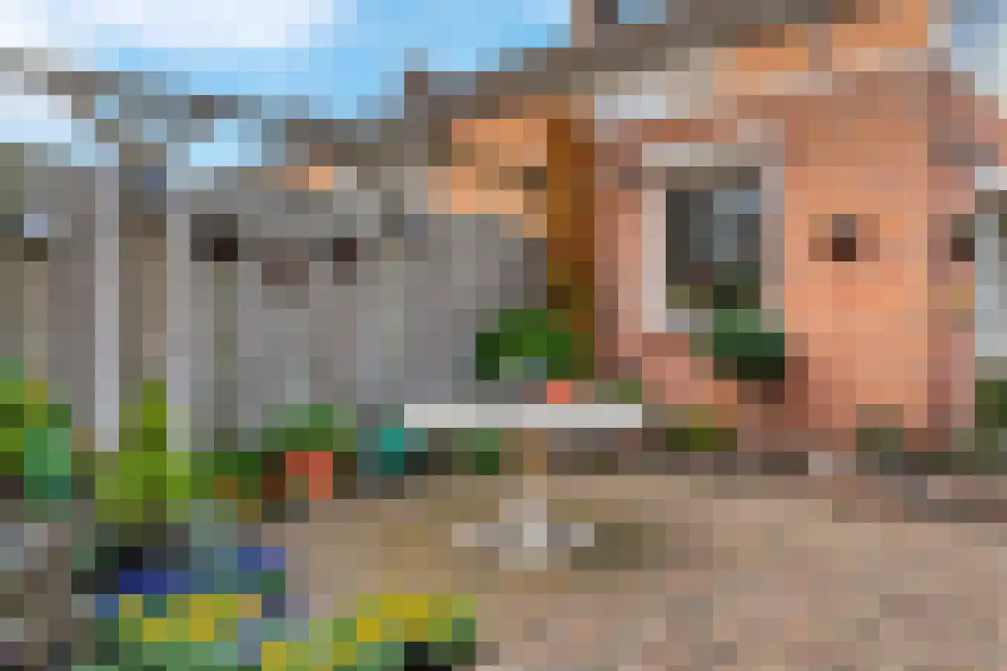 Trompstraat 42 Veghel thumbnail 34