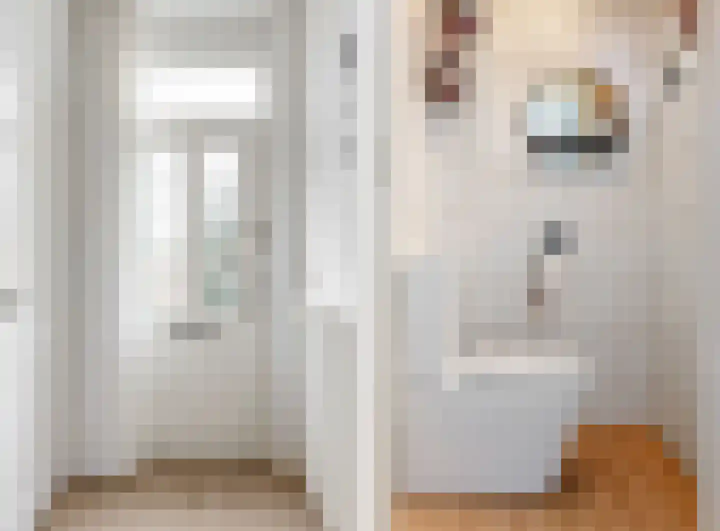 Trompstraat 42 Veghel thumbnail 7