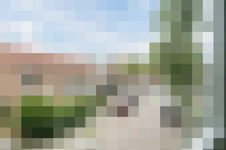 Trompstraat 46 Alkmaar thumbnail 30