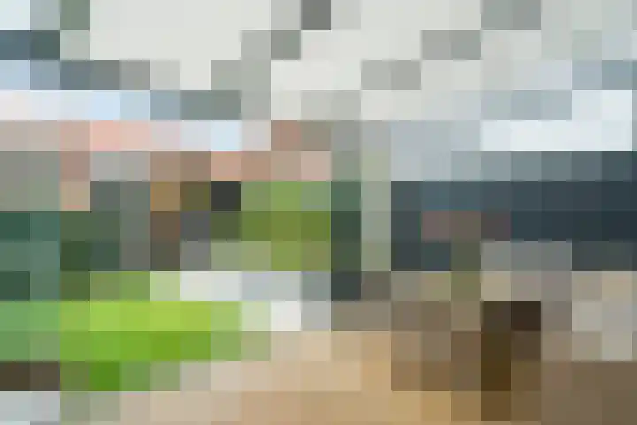 Trompstraat 46 Alkmaar thumbnail 34