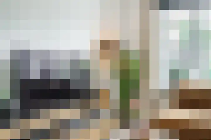 Trompstraat 46 Alkmaar thumbnail 4