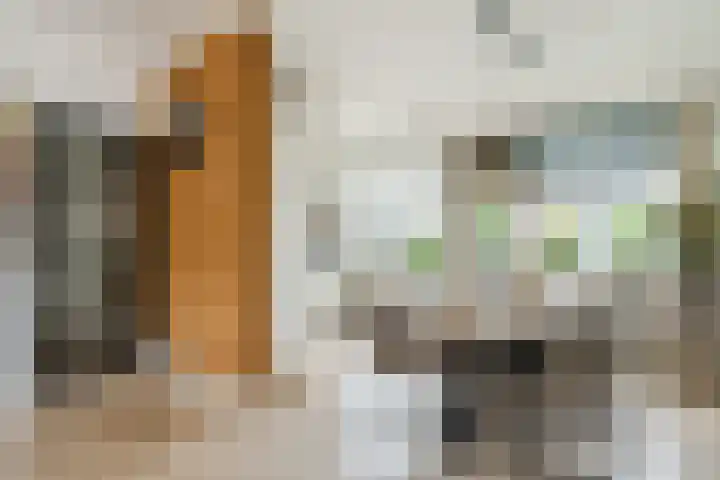 Trompstraat 46 Alkmaar thumbnail 8