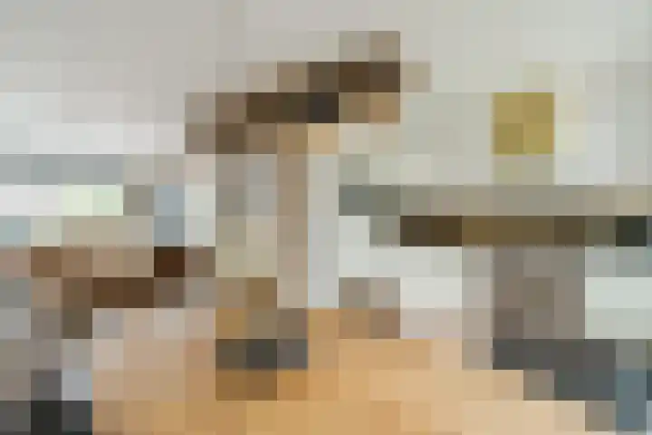 Trompstraat 46 Alkmaar thumbnail 9