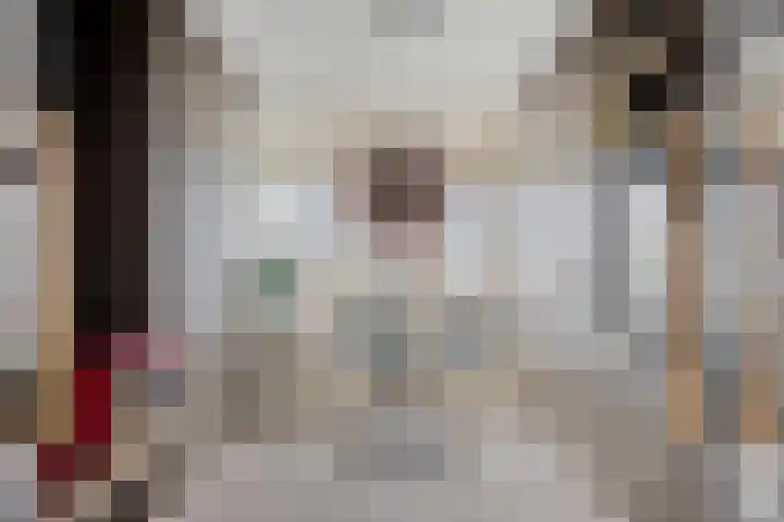 Trompstraat 46 Papendrecht thumbnail 10