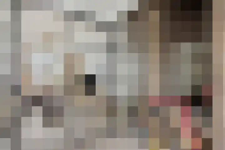 Trompstraat 46 Papendrecht thumbnail 11