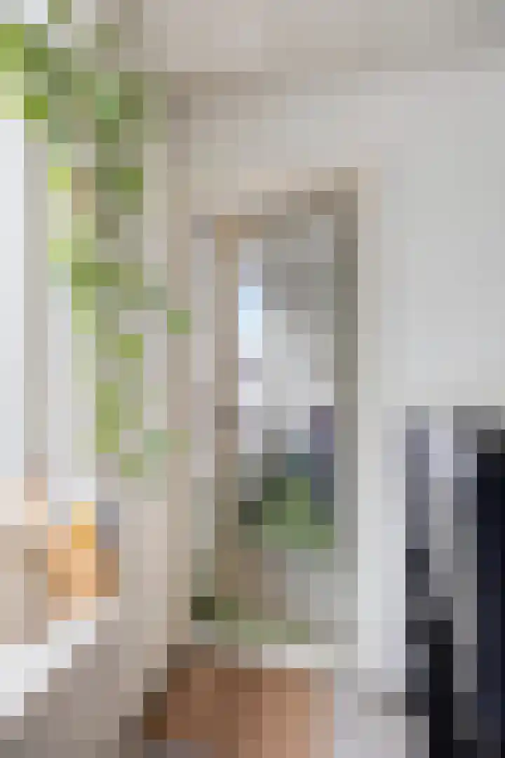 Trompstraat 46 Papendrecht thumbnail 23