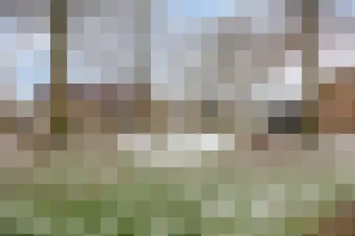 Trompstraat 46 Papendrecht thumbnail 36