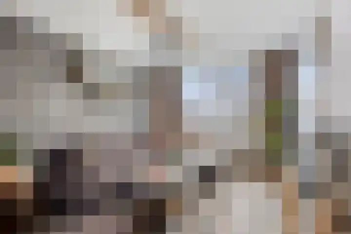 Trompstraat 46 Papendrecht thumbnail 8