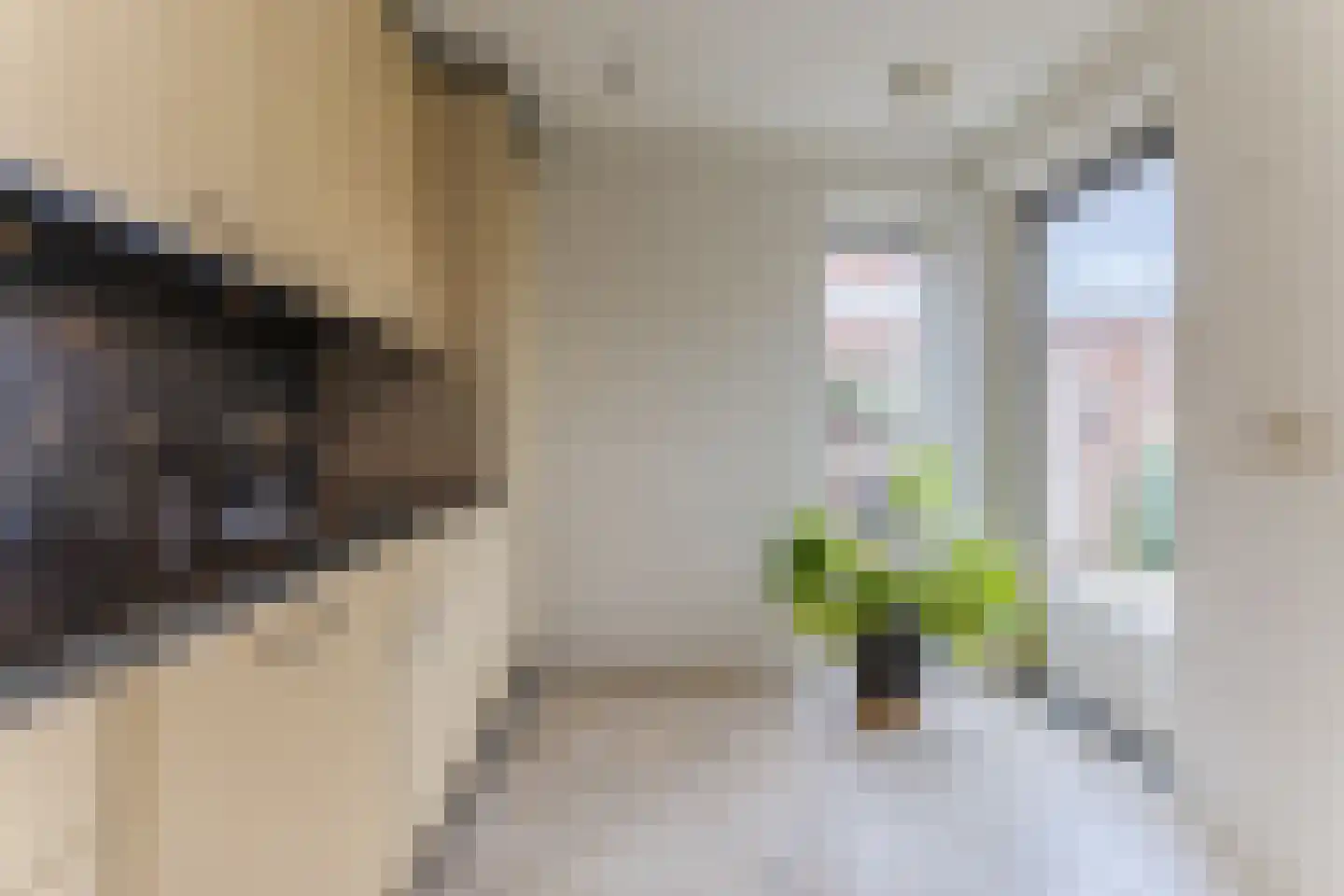 Trompstraat 48 Veghel thumbnail 14