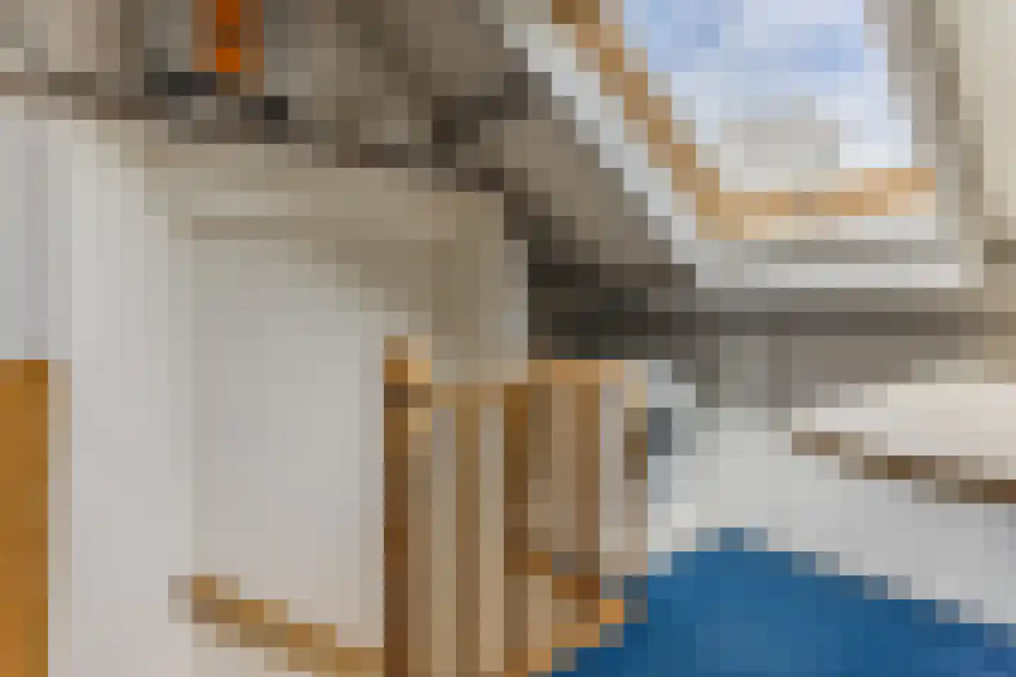 Trompstraat 48 Veghel thumbnail 26