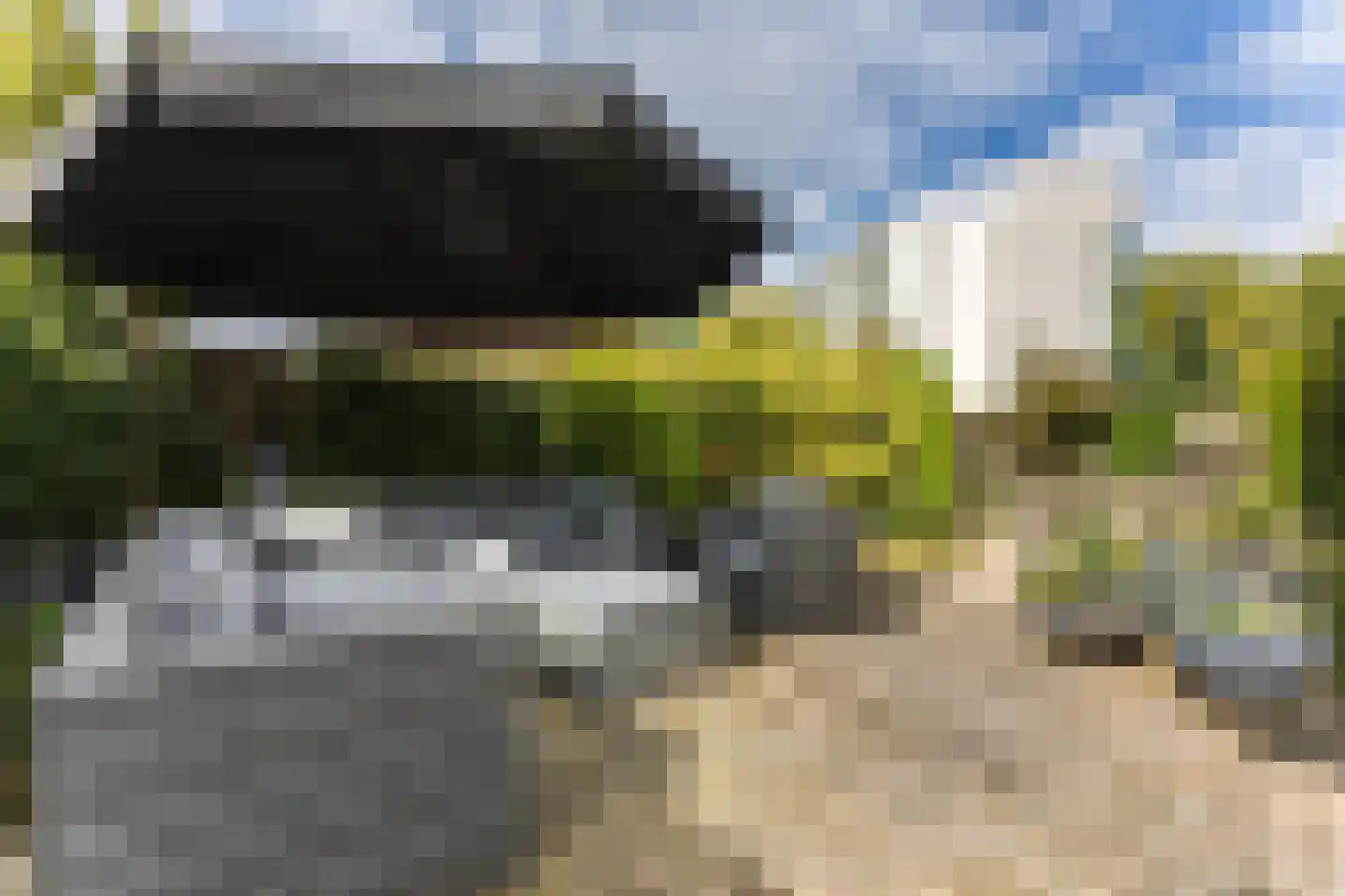 Trompstraat 48 Veghel thumbnail 28