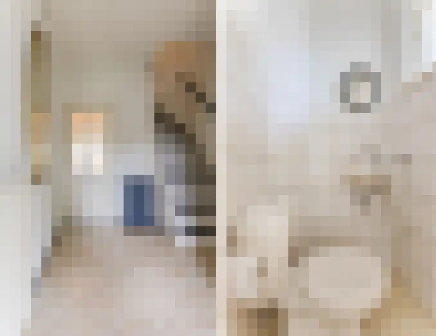 Trompstraat 48 Veghel thumbnail 7