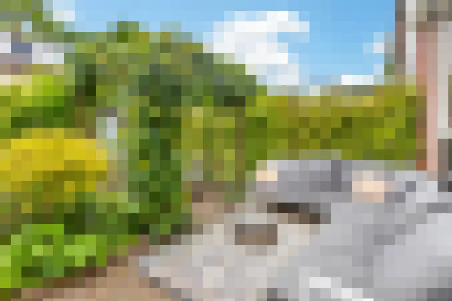 Trompstraat 5 De Meern thumbnail 13