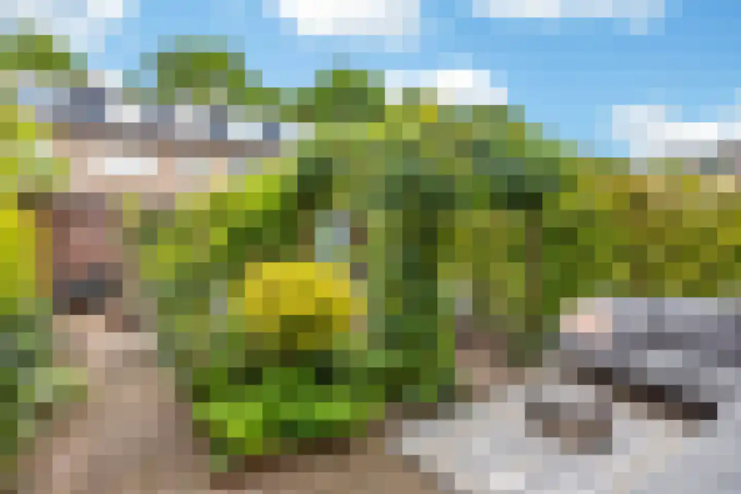 Trompstraat 5 De Meern thumbnail 14