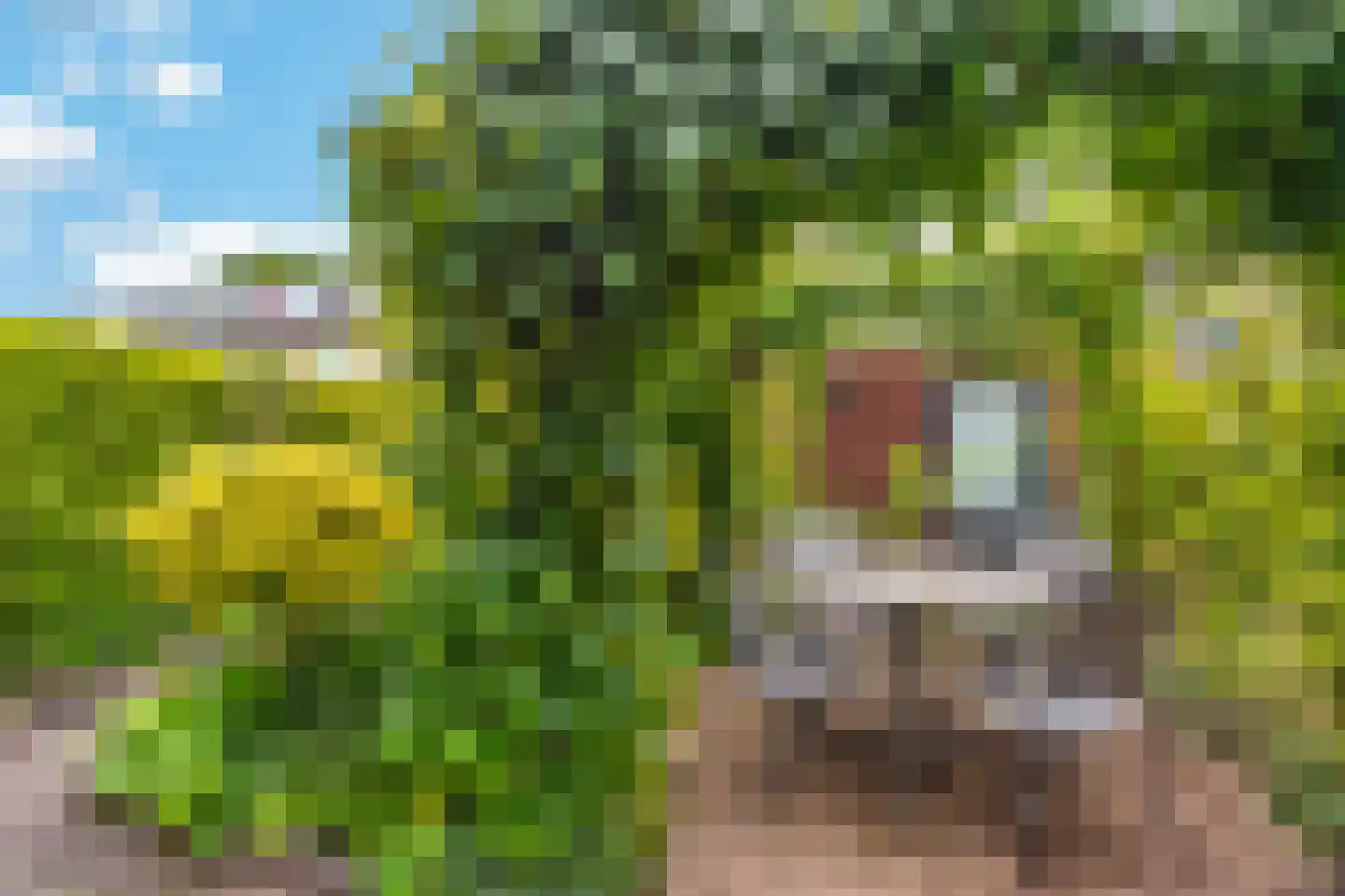Trompstraat 5 De Meern thumbnail 15