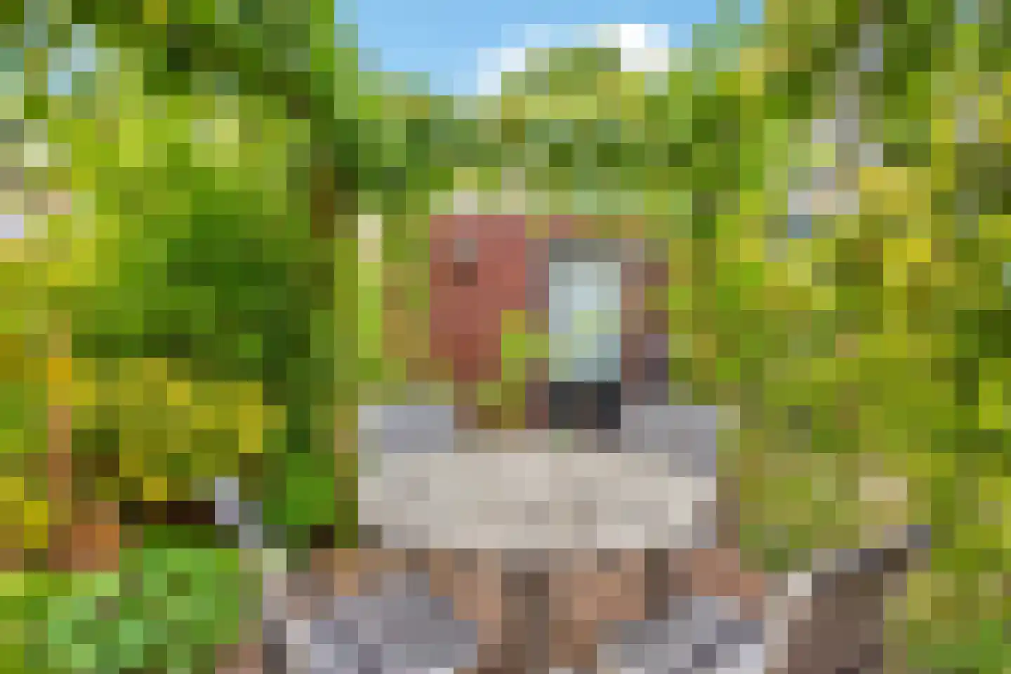 Trompstraat 5 De Meern thumbnail 16