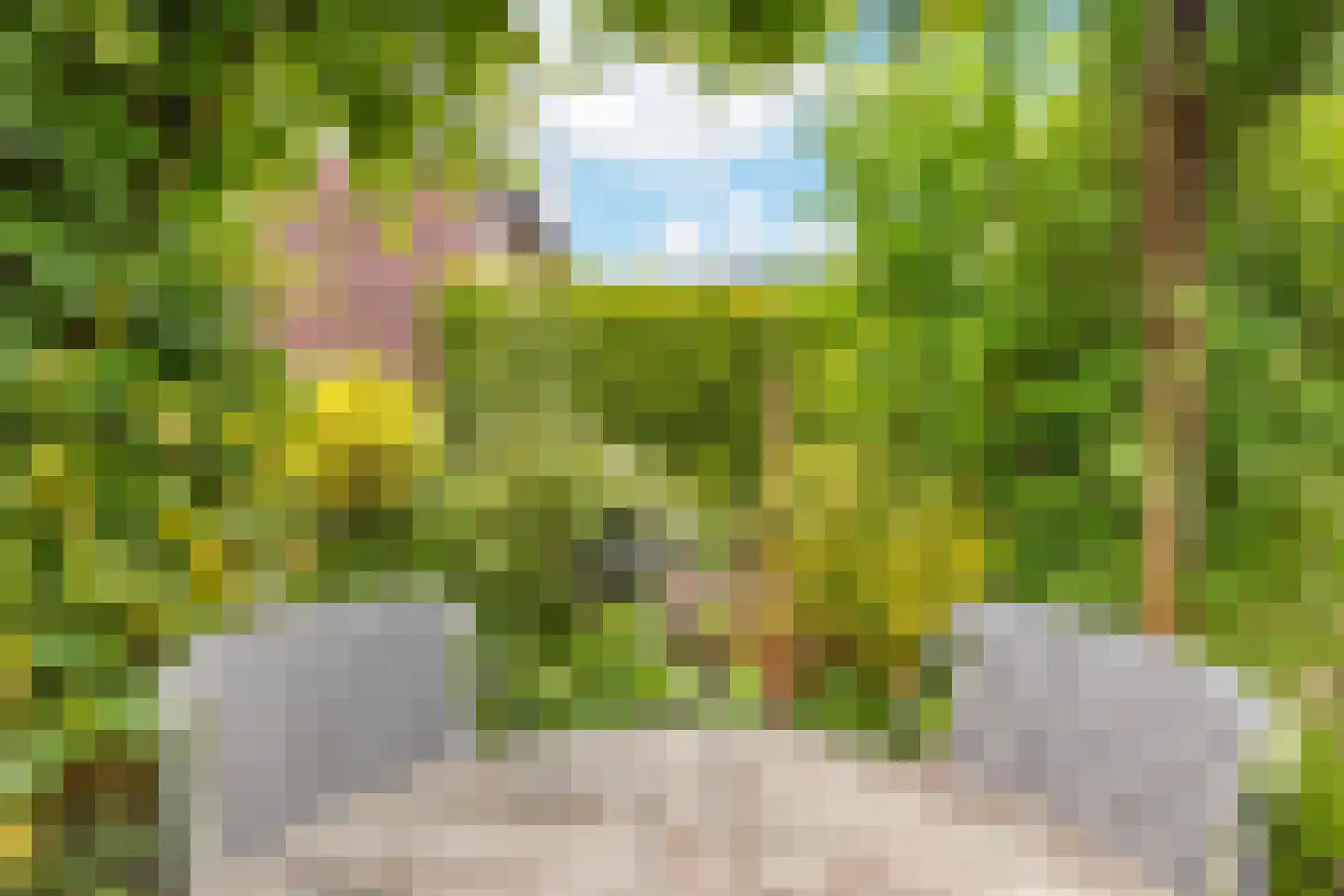 Trompstraat 5 De Meern thumbnail 20