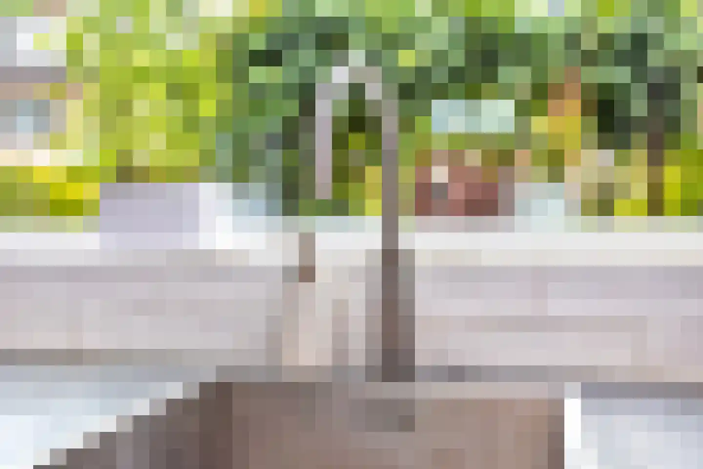 Trompstraat 5 De Meern thumbnail 24