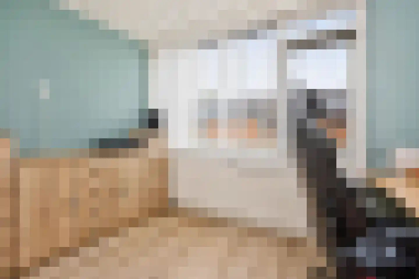 Trompstraat 5 De Meern thumbnail 33