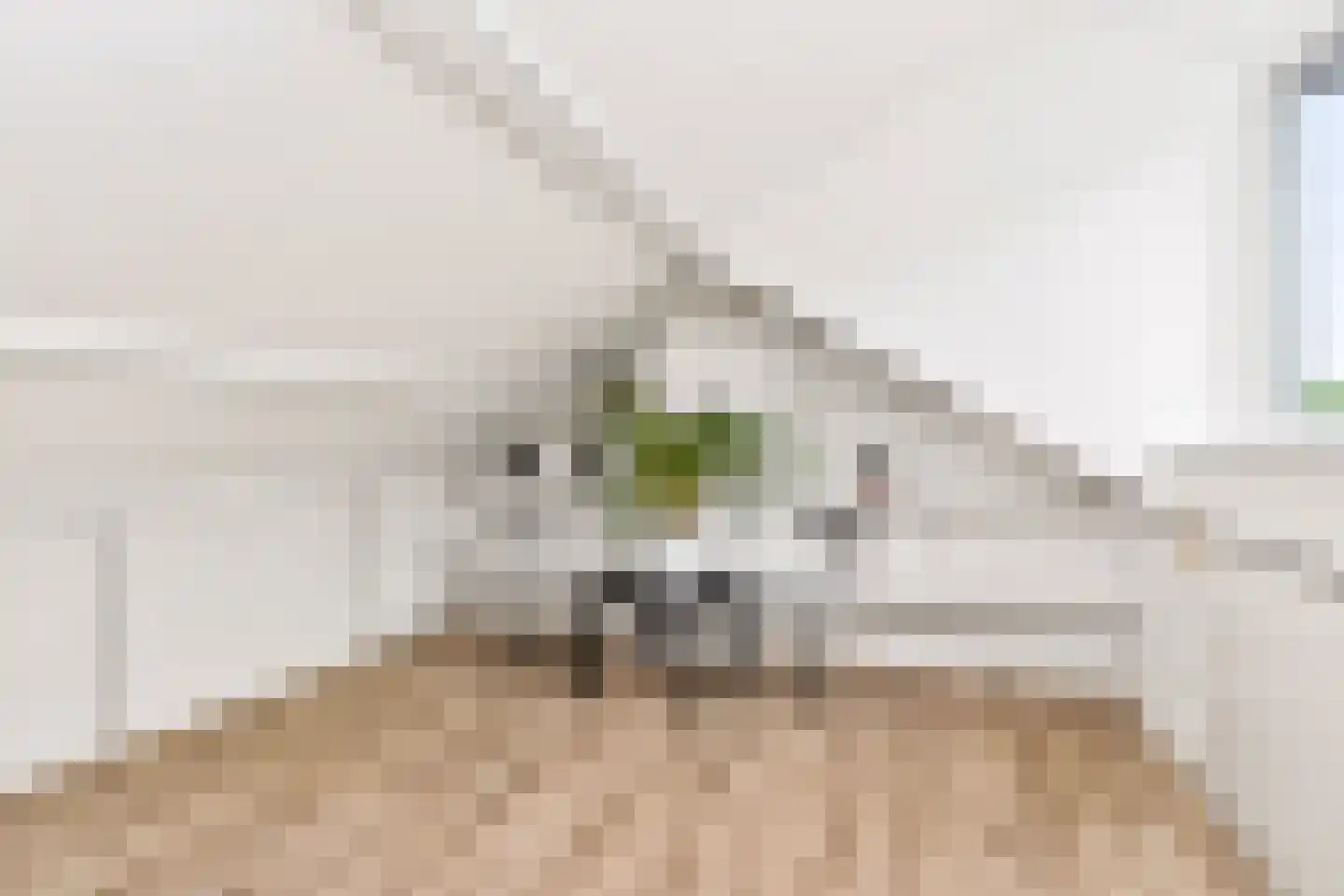 Trompstraat 5 De Meern thumbnail 37