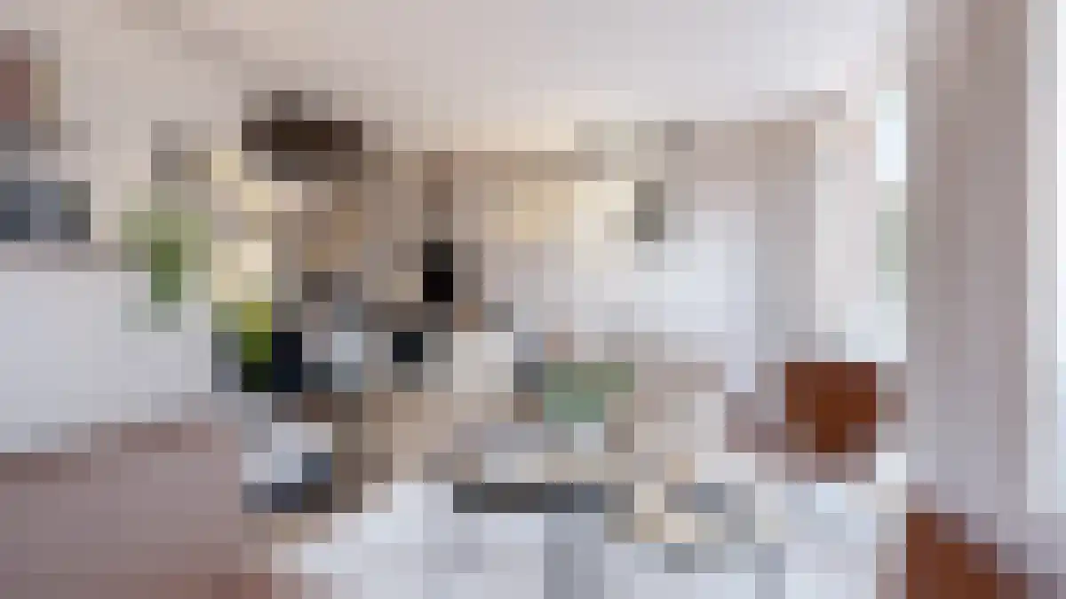 Trompstraat 5 Den Haag thumbnail 5