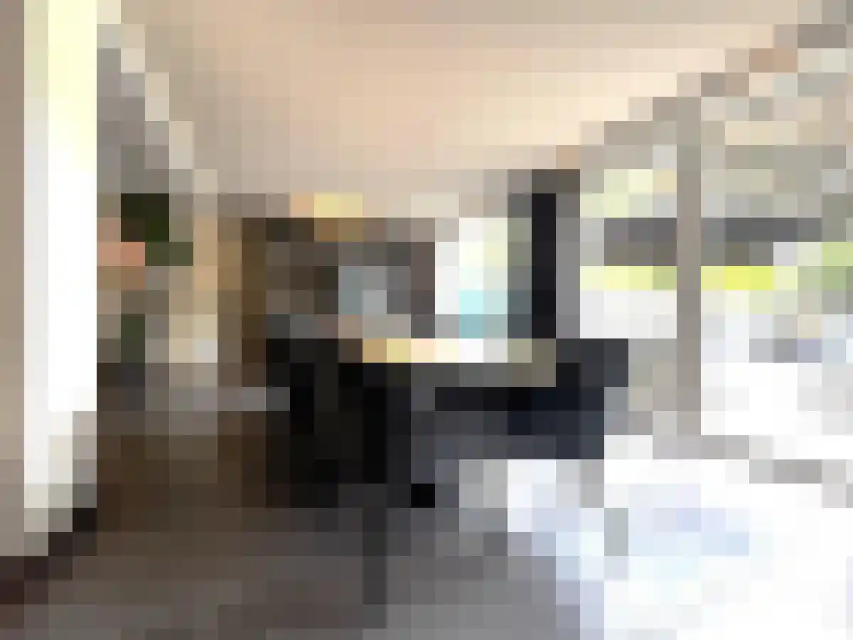 Trompstraat 5 Drunen thumbnail 6