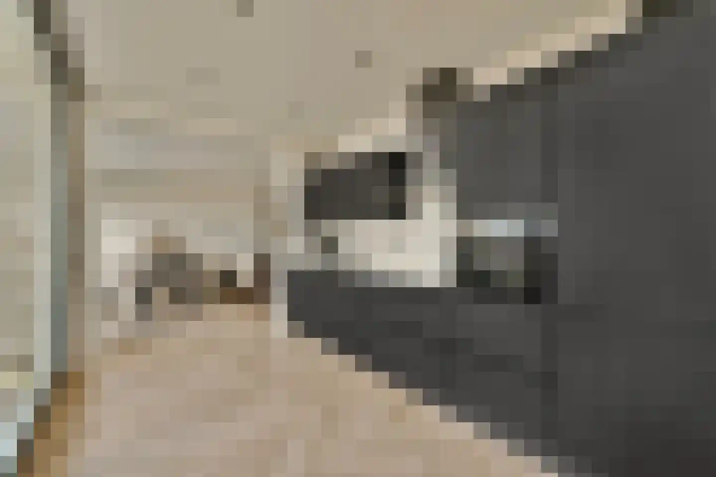 Trompstraat 5 f Zandvoort thumbnail 12