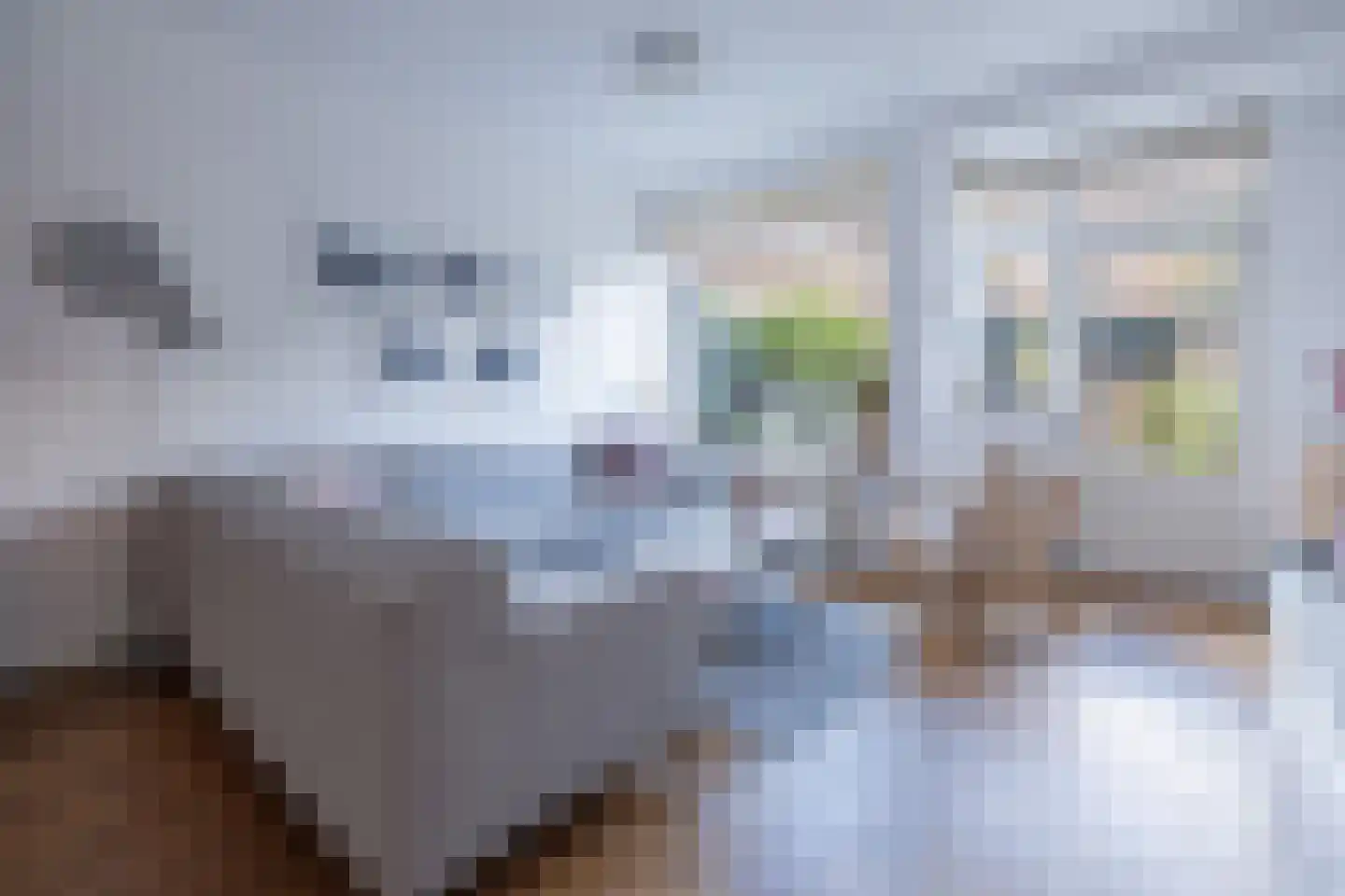 Trompstraat 52 Amersfoort thumbnail 14