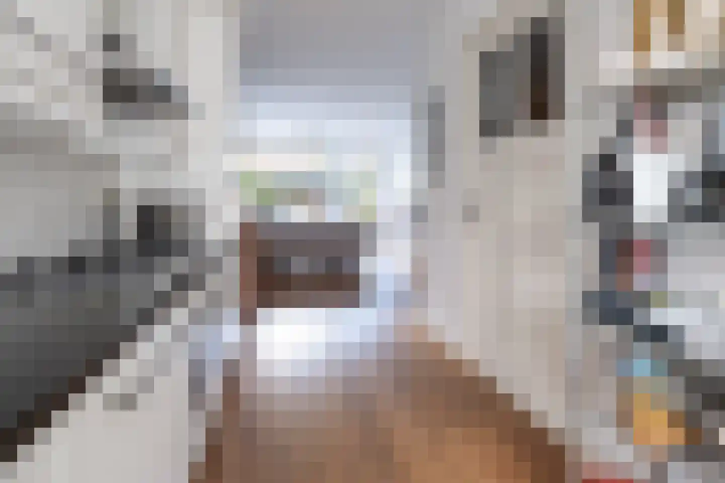 Trompstraat 52 Amersfoort thumbnail 15