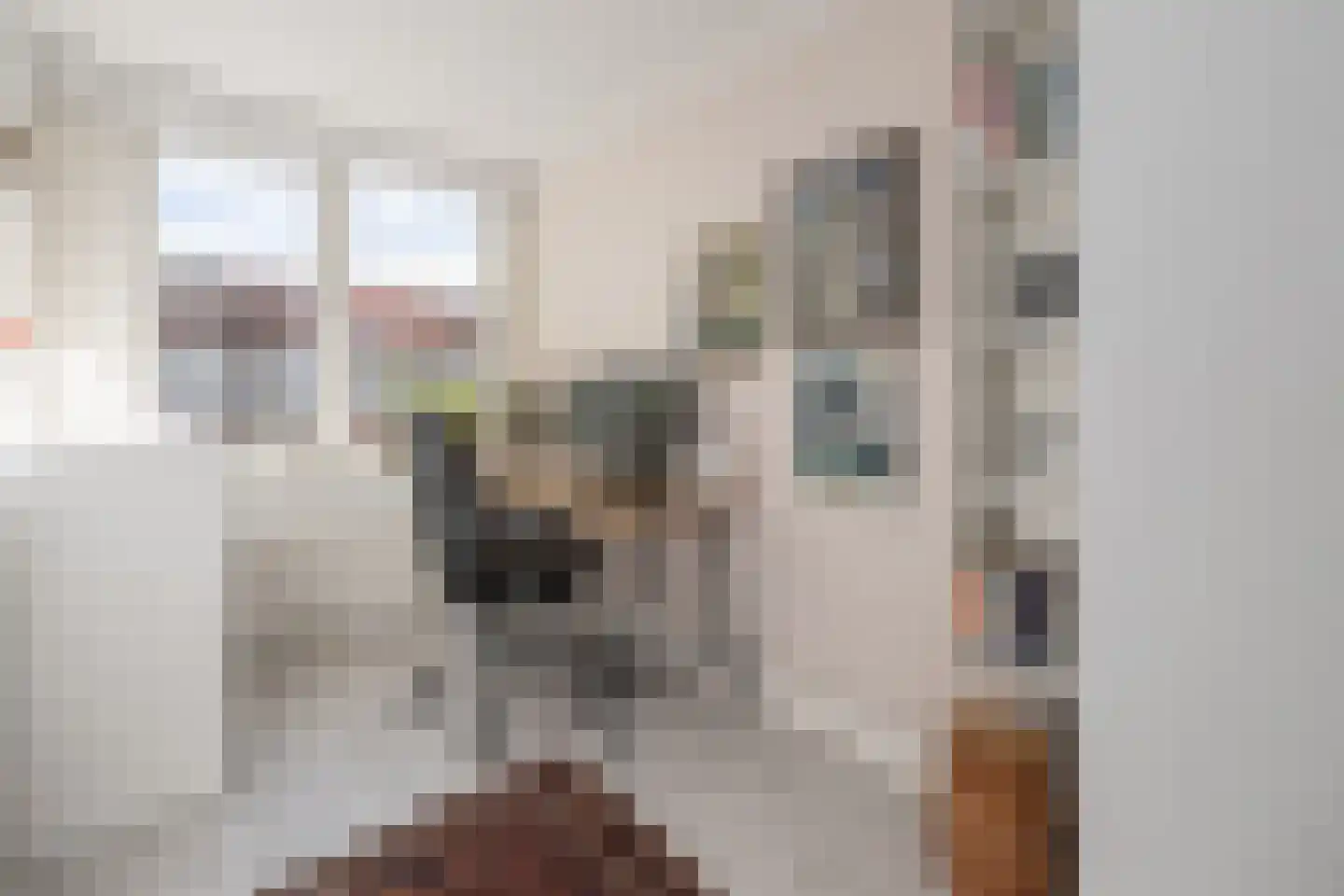 Trompstraat 52 Amersfoort thumbnail 30