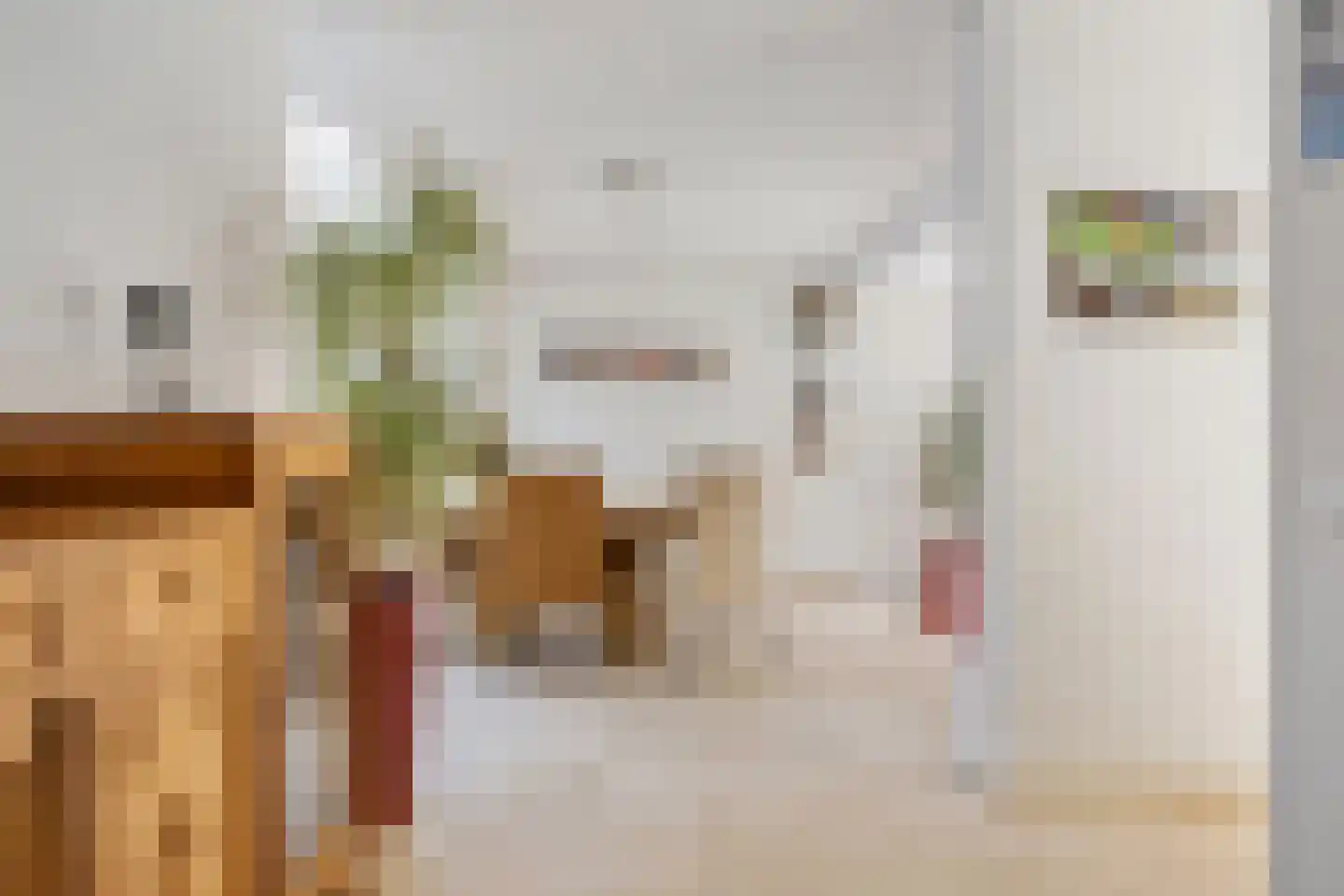 Trompstraat 54 Dongen thumbnail 20