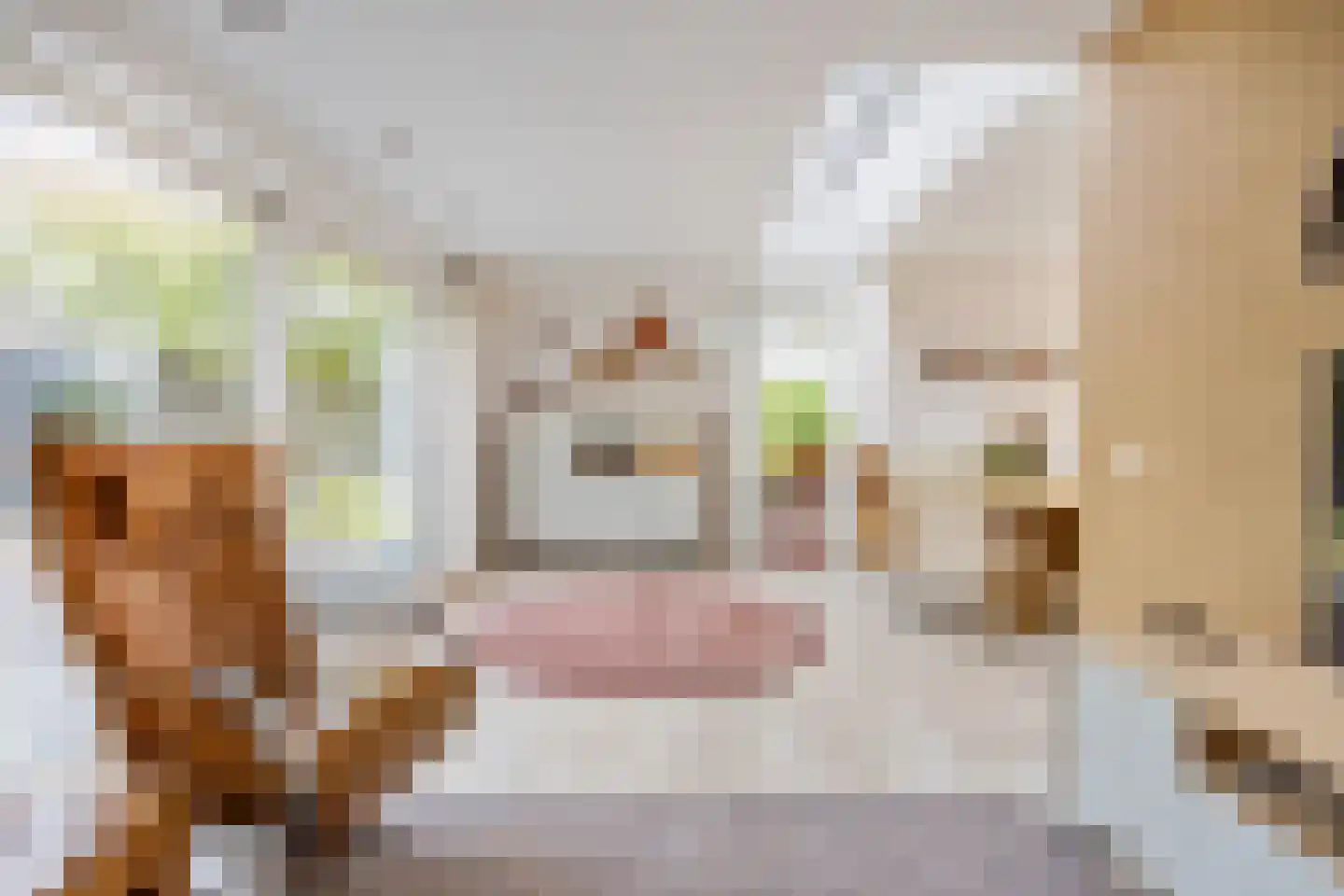 Trompstraat 54 Dongen thumbnail 26