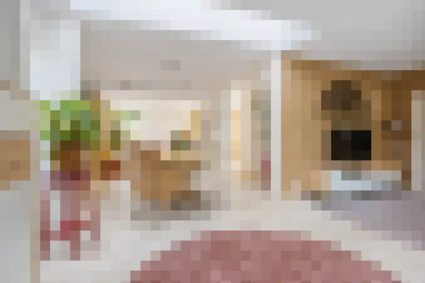 Trompstraat 54 Dongen thumbnail 27