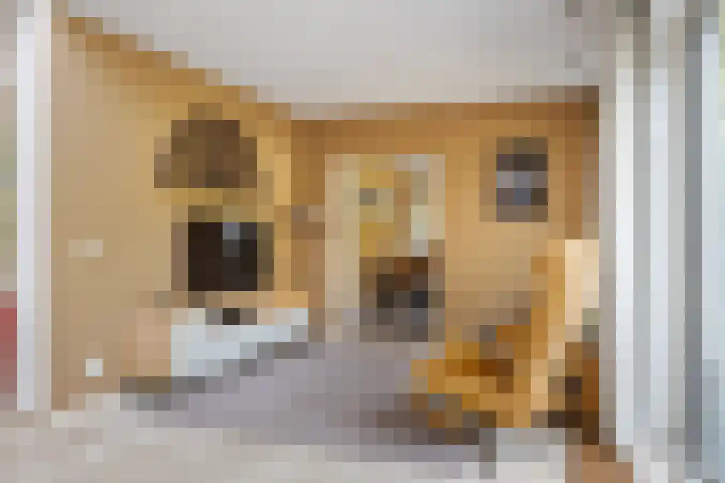 Trompstraat 54 Dongen thumbnail 28