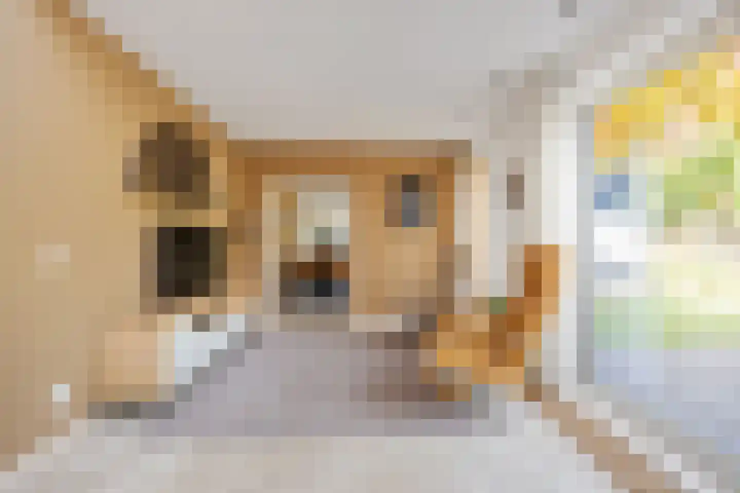 Trompstraat 54 Dongen thumbnail 29