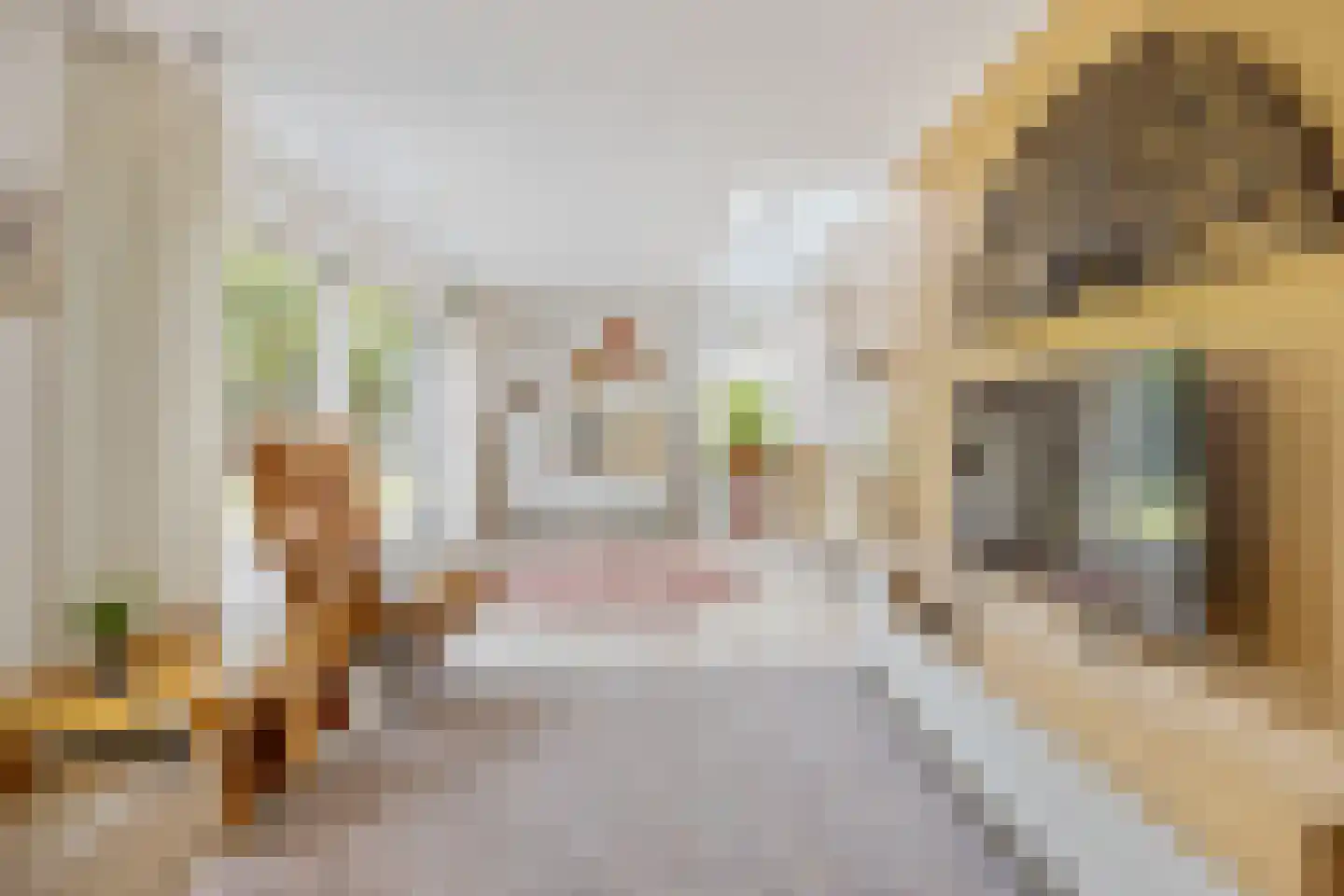Trompstraat 54 Dongen thumbnail 30