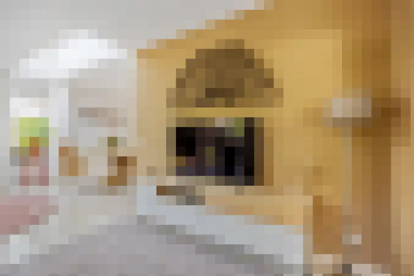 Trompstraat 54 Dongen thumbnail 31